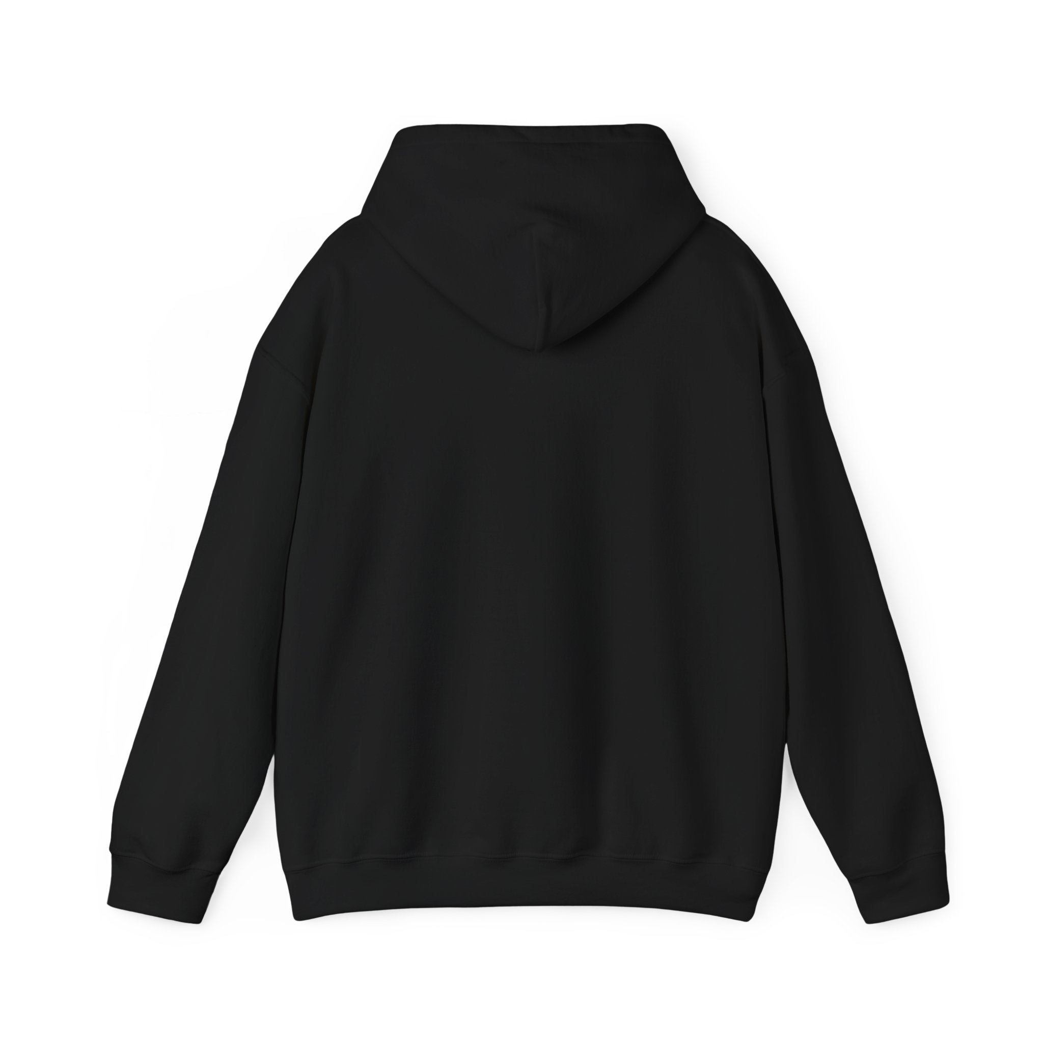 Copy of Baseball Fundamentals Hoodie — “Unlock Your Baseball DNA” Baseball Player Graphic Sweatshirt