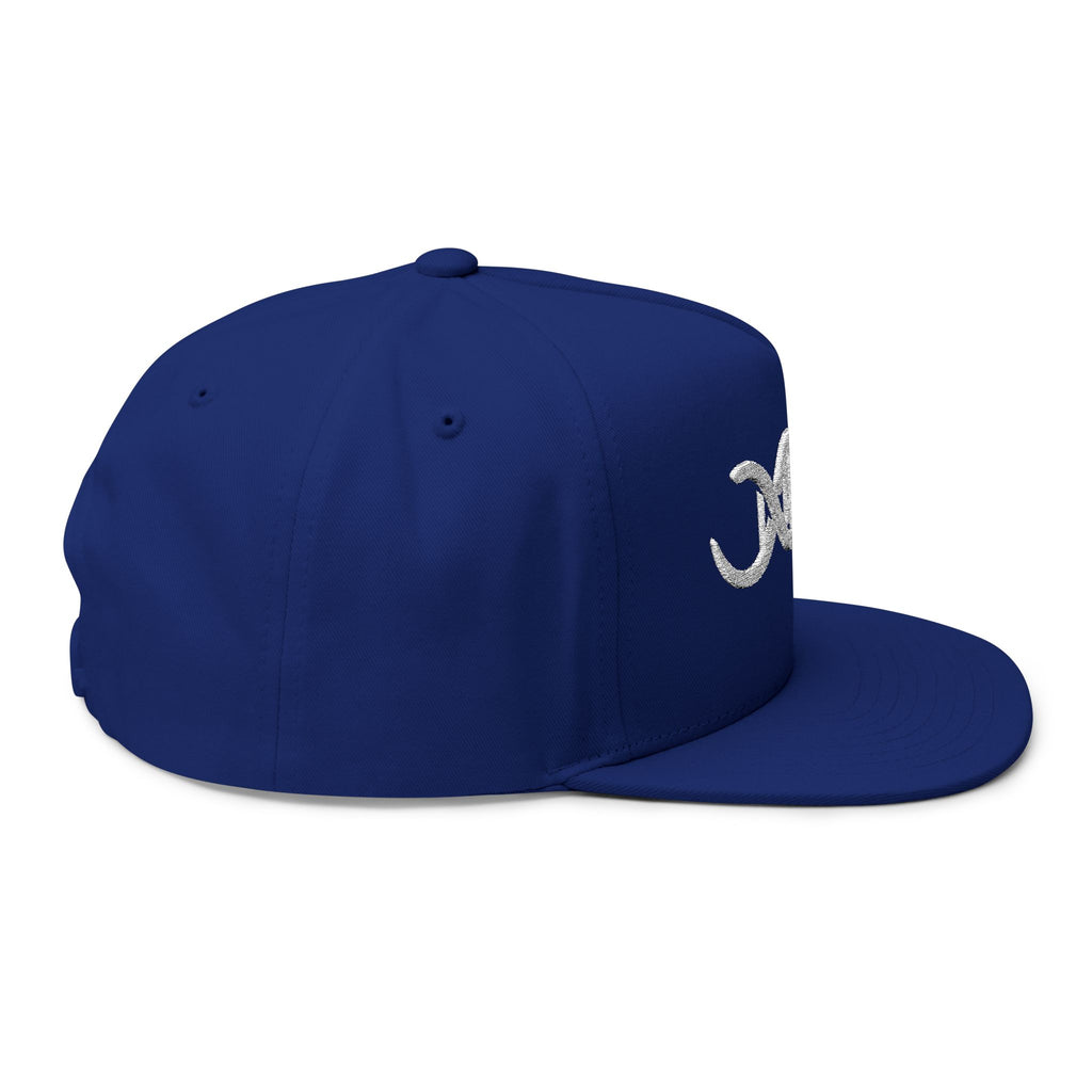 Baseball DNA Flat Bill Cap — Embroidered Sports Logo Hat
